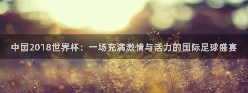 亚洲杯比赛直播：中国2018世界杯：一场充满激情与活力的国际足球盛宴