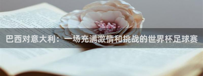 女足世界杯直播在线观看免费高清：巴西对意大利：一场充满激情和挑战的世界杯足球赛