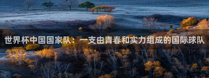 世界杯欧洲区预选赛：世界杯中国国家队：一支由青春和实力组成的国际球队