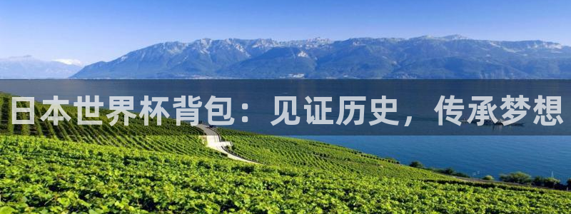 女足世界杯直播：日本世界杯背包：见证历史，传承梦想