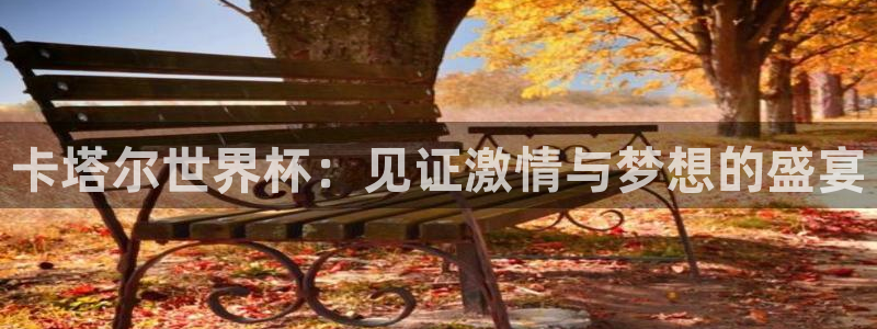 英足总杯直播：卡塔尔世界杯：见证激情与梦想的盛宴