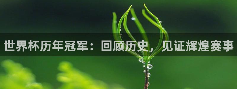 美国世界杯：世界杯历年冠军：回顾历史，见证辉煌赛事