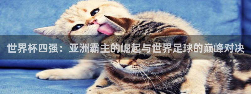2026世界杯官网入口：世界杯四强：亚洲霸主的崛起与世界足球的巅峰对决