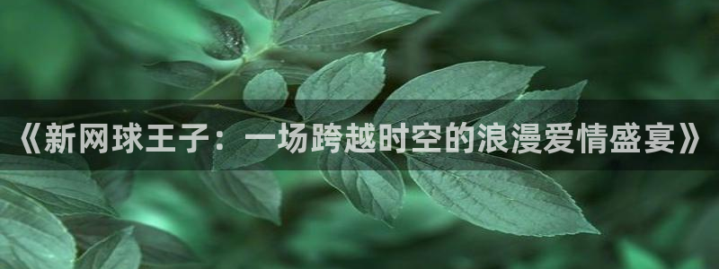 2026世界杯中国队：《新网球王子：一场跨越时空的浪漫爱情盛宴》
