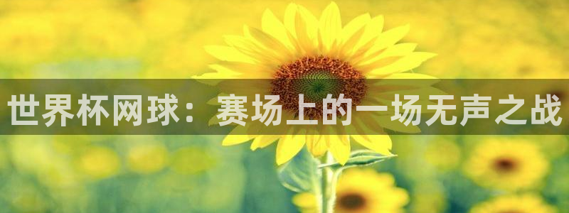 今年世界杯：世界杯网球：赛场上的一场无声之战