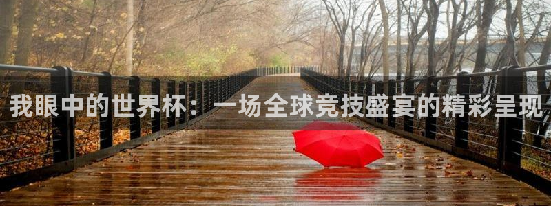 2026世界杯日期：我眼中的世界杯：一场全球竞技盛宴的精彩呈现